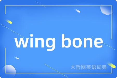 wing bone